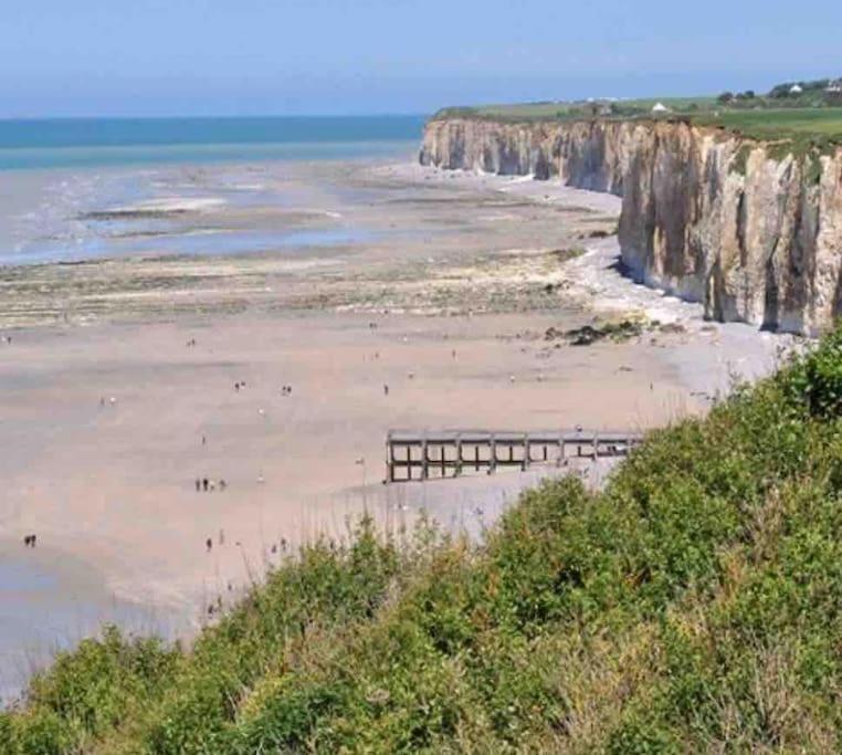 Superbe Appartement Entre Mer Et Ville Dieppe Kültér fotó
